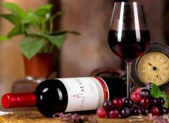 【進口案例】智利紅酒進口報關(guān)代理服務(wù)